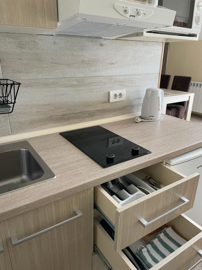 Vila Lucky Kop & Restoran Apartment Копаоник Екстериор снимка